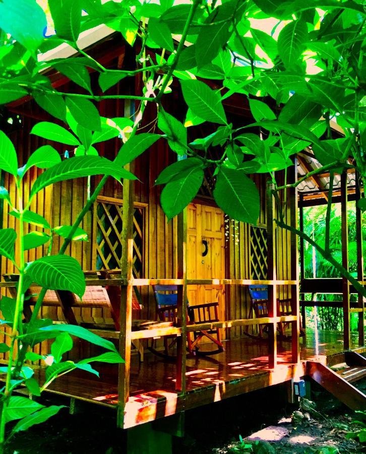 Coral Hill Bungalows Кауита Экстерьер фото