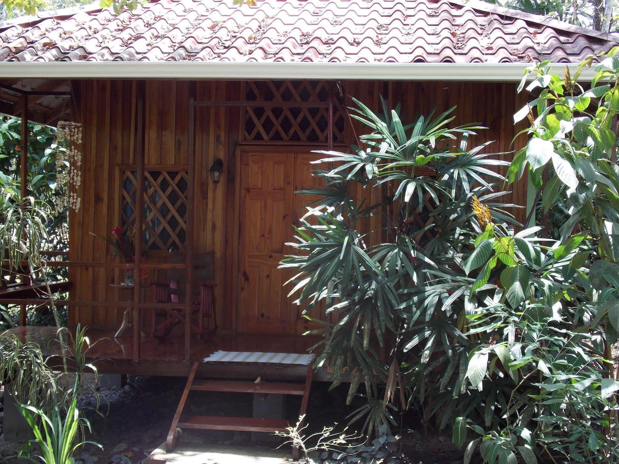 Coral Hill Bungalows Кауита Экстерьер фото