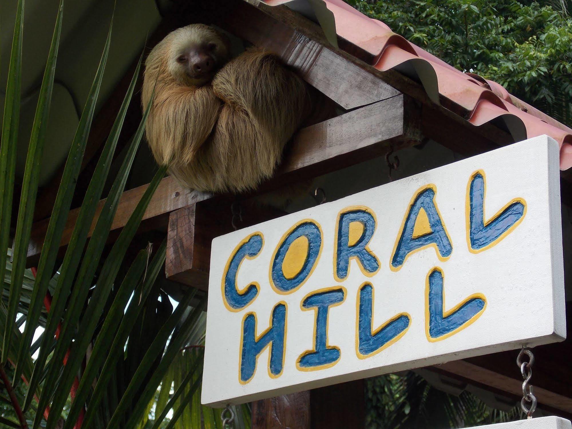 Coral Hill Bungalows Кауита Экстерьер фото